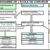 Organigramme de l’Ecole de chirurgie img-organigramme-Ecole-de-c